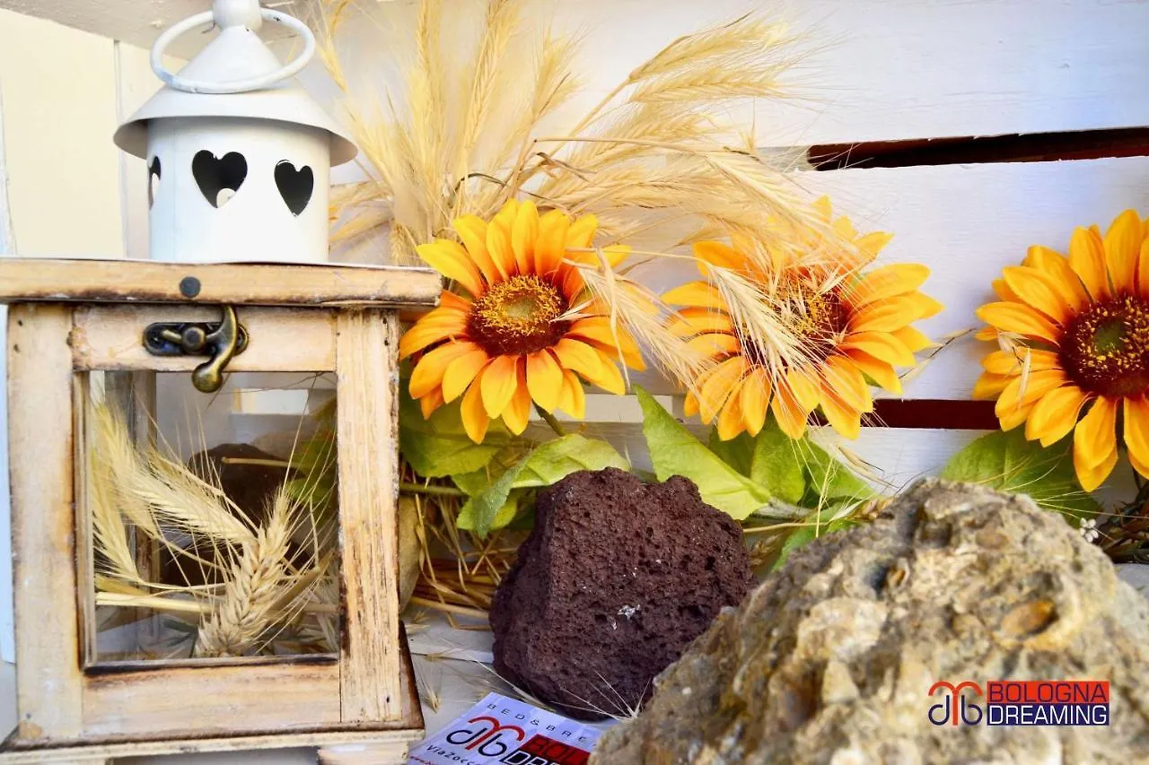Bed and Breakfast B&B Bologna Dreaming